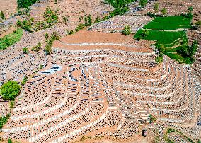 #CHINA-SHAANXI-LUEYANG-TERRACED FIELDS (CN)