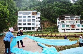 #CHINA-GUIZHOU-SPRING-FARMING (CN)