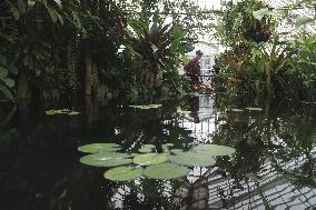 U.S.-SAN FRANCISCO-BOTANICAL GARDEN-VISIT