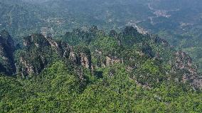 (SkyEye)CHINA-HUNAN-WULINGYUAN-WORLD HERITAGE SITE-AERIAL VIEW (CN)