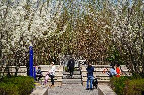 CHINA-JILIN-CHANGCHUN-COVID-19-MANAGEMENT MEASURES (CN)