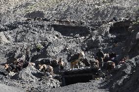 AFGHANISTAN-BAGHLAN-COAL MINE-POWER GENERATION