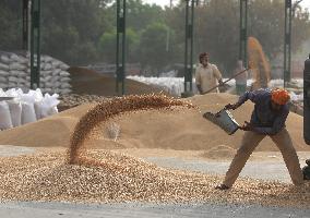 WORLD BANK-REPORT-FOOD-ENERGY-PRICES