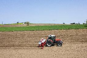 GREECE-THESSALONIKI-COTTON-SEEDING