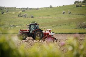 GREECE-THESSALONIKI-COTTON-SEEDING