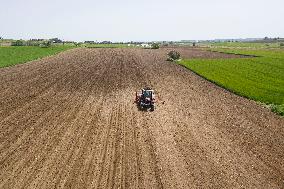 GREECE-THESSALONIKI-COTTON-SEEDING