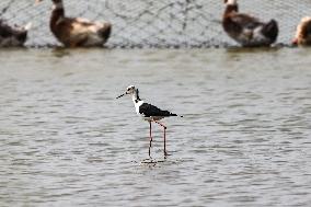 CHINA-HAINAN-HAIKOU-NATURE RESERVE  (CN)