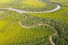 CHINA-HAINAN-HAIKOU-NATURE RESERVE  (CN)