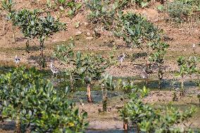 CHINA-HAINAN-HAIKOU-NATURE RESERVE  (CN)