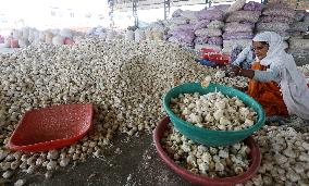 INDIA-MADHYA PRADESH-BHOPAL-GARLIC MARKET