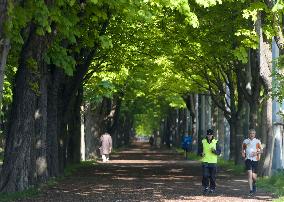 (SP)AUSTRIA-VIENNA-LIFESTYLE-PRATER HAUPTALLEE