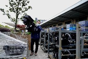 CHINA-SHANGHAI-AUTO MAKING-INDUSTRY-RESUMPTION (CN)