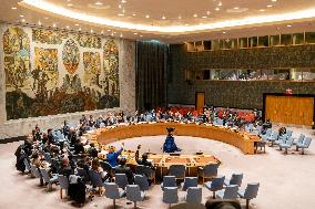 UN-SECURITY COUNCIL-UNSMIL-MANDATE-TECHNICAL ROLLOVER-APPROVAL