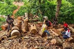 CAMEROON-CENTRE REGION-TAM-TAM MAKING