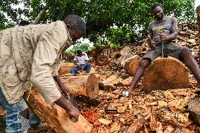 CAMEROON-CENTRE REGION-TAM-TAM MAKING