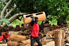 CAMEROON-CENTRE REGION-TAM-TAM MAKING