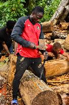 CAMEROON-CENTRE REGION-TAM-TAM MAKING