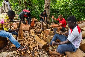 CAMEROON-CENTRE REGION-TAM-TAM MAKING