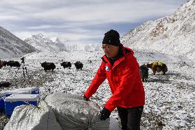 Xinhua Headlines: China sets up world's highest automatic weather station