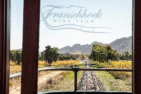 SOUTH AFRICA-FRANSCHHOEK-WINE TRAM