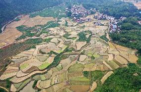 CHINA-GUANGXI-DONGLAN-PADDY FIELD (CN)