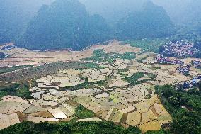 CHINA-GUANGXI-DONGLAN-PADDY FIELD (CN)