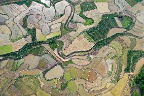 CHINA-GUANGXI-DONGLAN-PADDY FIELD (CN)