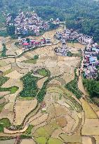 CHINA-GUANGXI-DONGLAN-PADDY FIELD (CN)