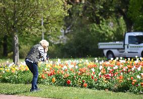 GERMANY-BERLIN-SCENERY