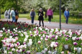 GERMANY-BERLIN-SCENERY