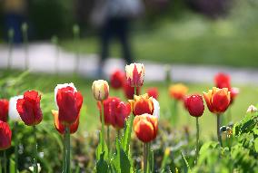 GERMANY-BERLIN-SCENERY