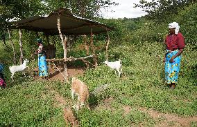 KENYA-MACHAKOS-WOMEN-BASKET-WEAVING