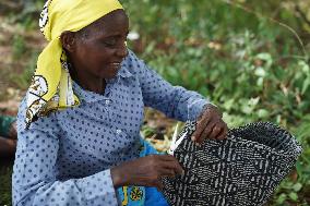 KENYA-MACHAKOS-WOMEN-BASKET-WEAVING