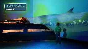 U.S.-LOS ANGELES-UNDERWATER-EXHIBITION