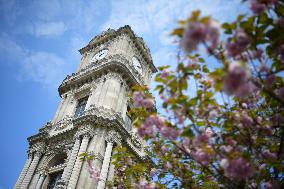 TURKEY-ISTANBUL-DOLMABAHCE PALACE