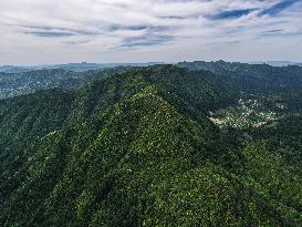 CHINA-GUIZHOU-TONGREN-MOUNT FANJING-SCENERY (CN)