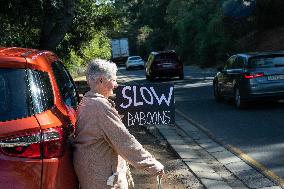 SOUTH AFRICA-CAPE TOWN-BABOONS-PROTECTION