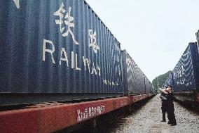 CHINA-GUANGXI-ASEAN-TCM-TRAIN-ARRIVAL (CN)