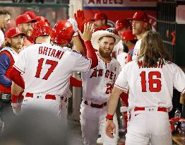 Baseball: Rays vs. Angels