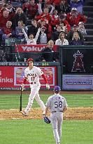 Baseball: Rays vs. Angels