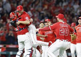 Baseball: Rays vs. Angels