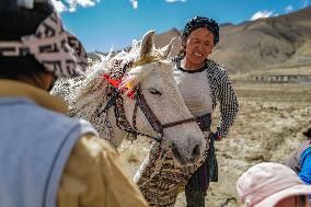 CHINA-TIBET-TINGRI-SPRING-FARMING (CN)