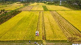 #CHINA-SUMMER-FARMING (CN)