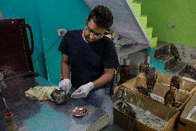 INDIA-NEW DELHI-BIRD RESCUERS