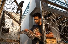 INDIA-NEW DELHI-BIRD RESCUERS