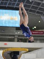 Gymnastics: NHK Cup