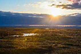 CHINA-INNER MONGOLIA-XILINGOL LEAGUE-PASTURE-SCENERY (CN)