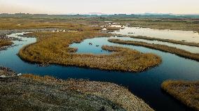 CHINA-INNER MONGOLIA-XILINGOL LEAGUE-PASTURE-SCENERY (CN)