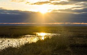 CHINA-INNER MONGOLIA-XILINGOL LEAGUE-PASTURE-SCENERY (CN)