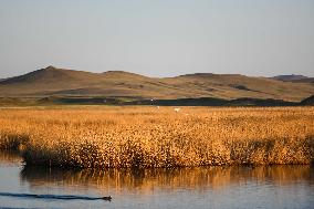 CHINA-INNER MONGOLIA-XILINGOL LEAGUE-PASTURE-SCENERY (CN)